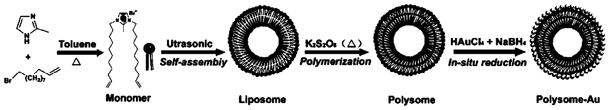 Poly-lipidosome co-loading SERS (Surface-Enhanced Raman Scattering) substrate with reactivity, and construction method and application thereof