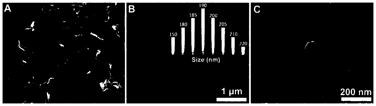 Poly-lipidosome co-loading SERS (Surface-Enhanced Raman Scattering) substrate with reactivity, and construction method and application thereof