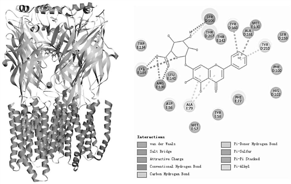 GABAA receptor conjugate for relieving and treating alcoholism and discomfort after drinking, composition and application of GABAA receptor conjugate and composition