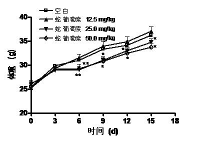 Application of ampelopsin in preparing medicines for treating obesity