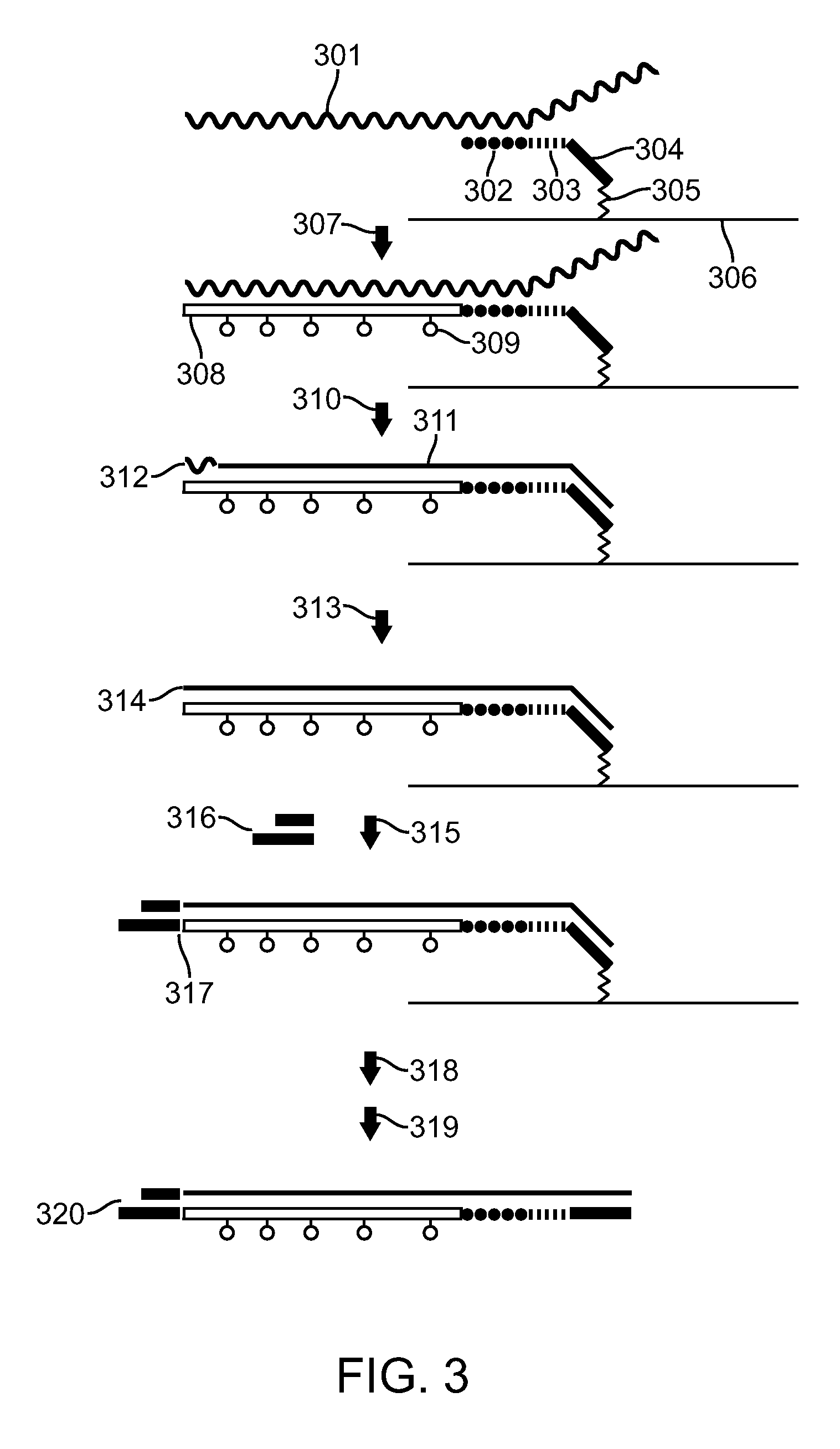 Method of obtaining antibodies of interest and nucleotides encoding same