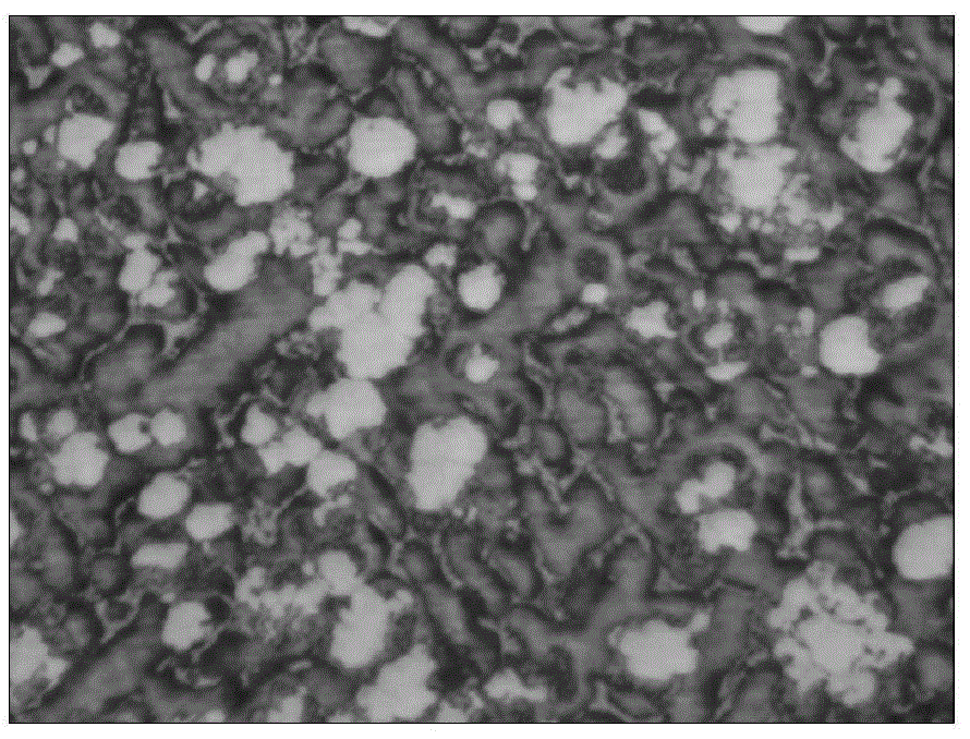 A high-temperature oxidation-resistant heat-resistant copper-nickel-based alloy