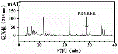 Application of a scalloped hammerhead cartilage angiogenesis inhibitory factor