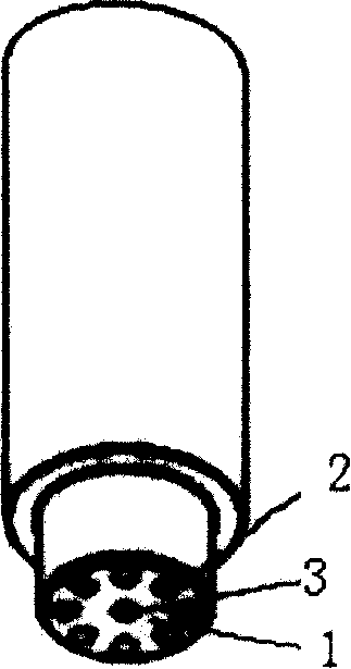 Gas injection apparatus