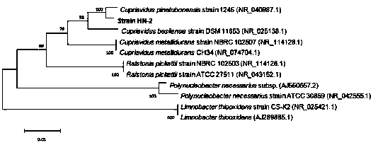 A dsf quorum sensing signal molecule quenching bacterium and its application in plant disease control