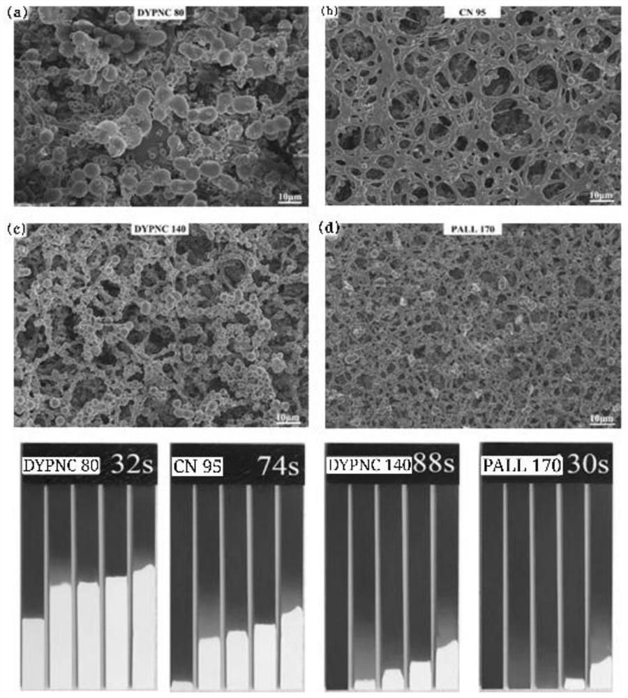 Preparation method of C protein detection test paper and handheld reading device