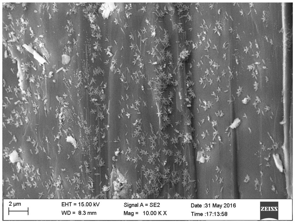 A method for preparing saponite crystals under hydrothermal conditions