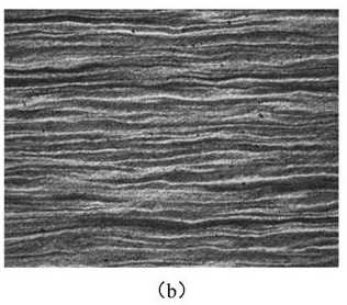 Metallographic corrosive agent and metallographic display method for primary banded structure of steel