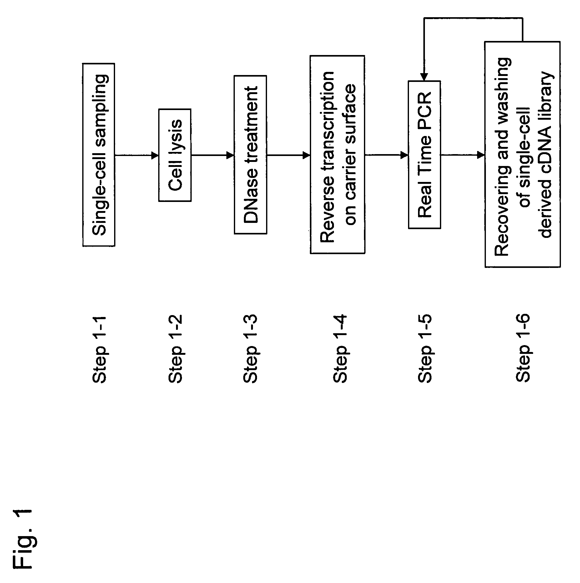 Methods for quantitative cDNA analysis in single-cell