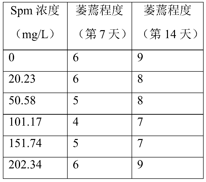 A kind of cultivation method of white clover