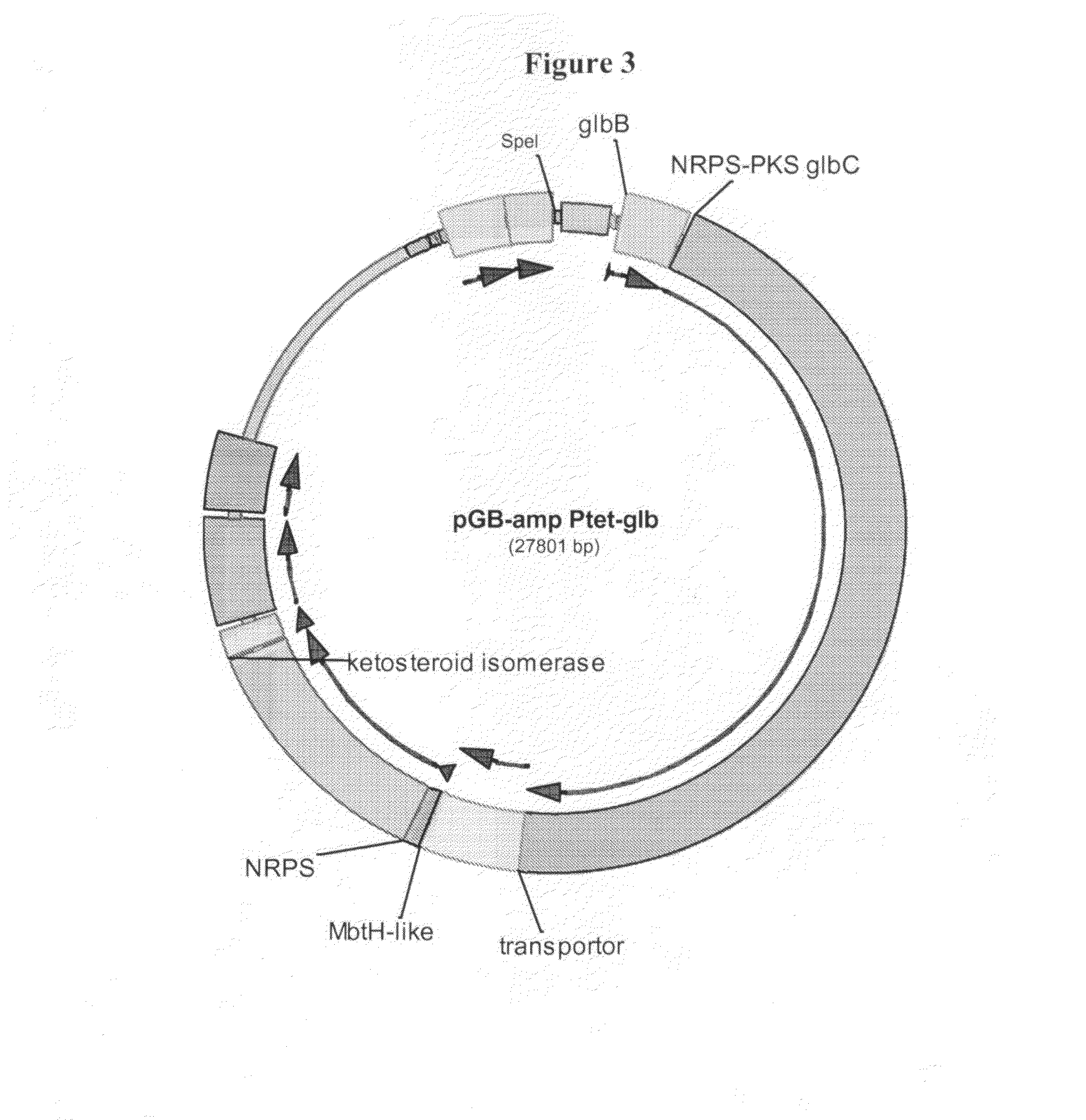 Heterologous hosts