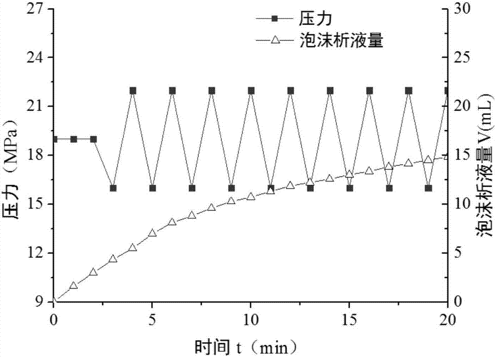 A foam stability testing device and working method under pressure fluctuation