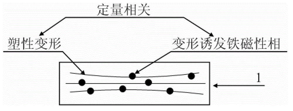 Detection method of austenite stainless steel plastic deformation