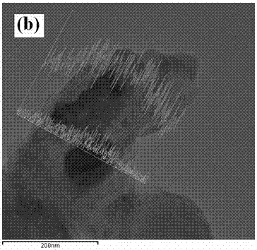 Surfactant-assisted in-situ co-precipitation method for preparing nano-powder with core-shell structure