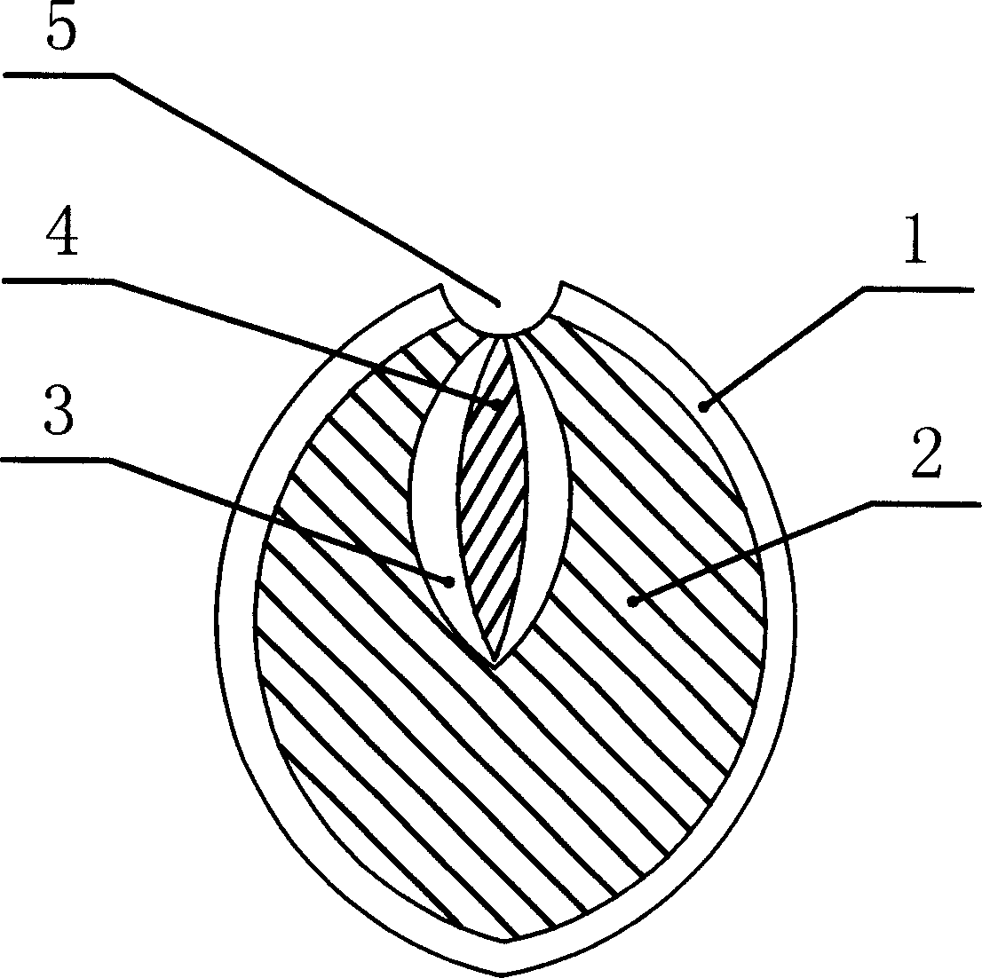 Method for processing gingko