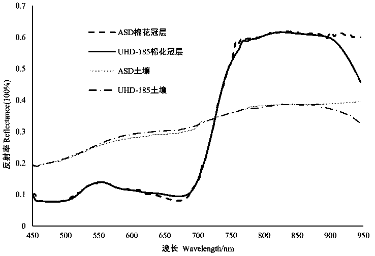 Monitoring method of farmland cotton aphid damage grade model based on unmanned aerial vehicle imaging