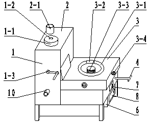 Cooking heating furnace by using biomass fuel