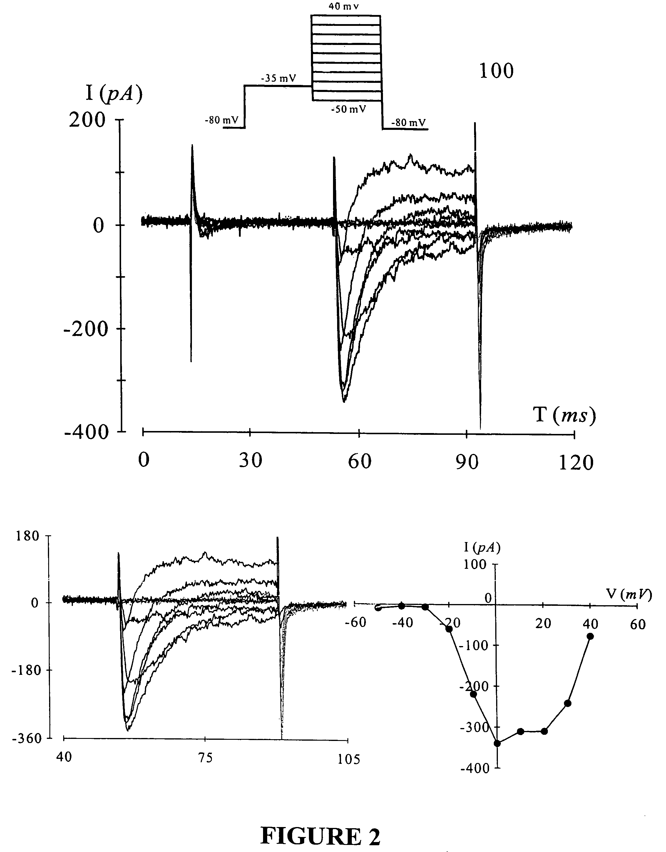 Differentiation of human mesenchymal stem cells to cardiac progenitor cells that promote cardiac repair