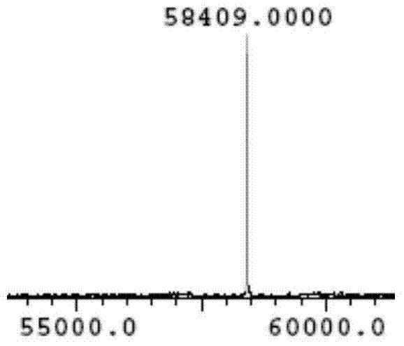 Methods for making conjugates from disulfide-containing proteins