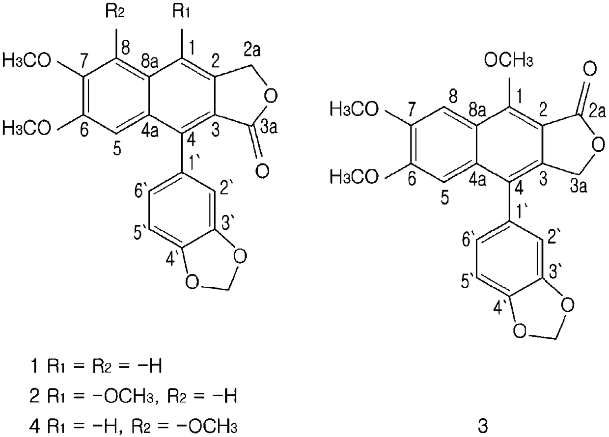 Pharmaceutical composition for preventing or treating respiratory disease comprising extract of justicia procumbens l.