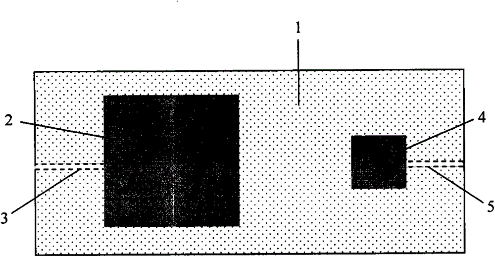 Differential flexible piezoresistive devices based on conductive polymer composites