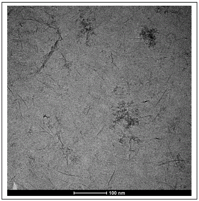 Lipid cochleate carrier based on aluminum ions