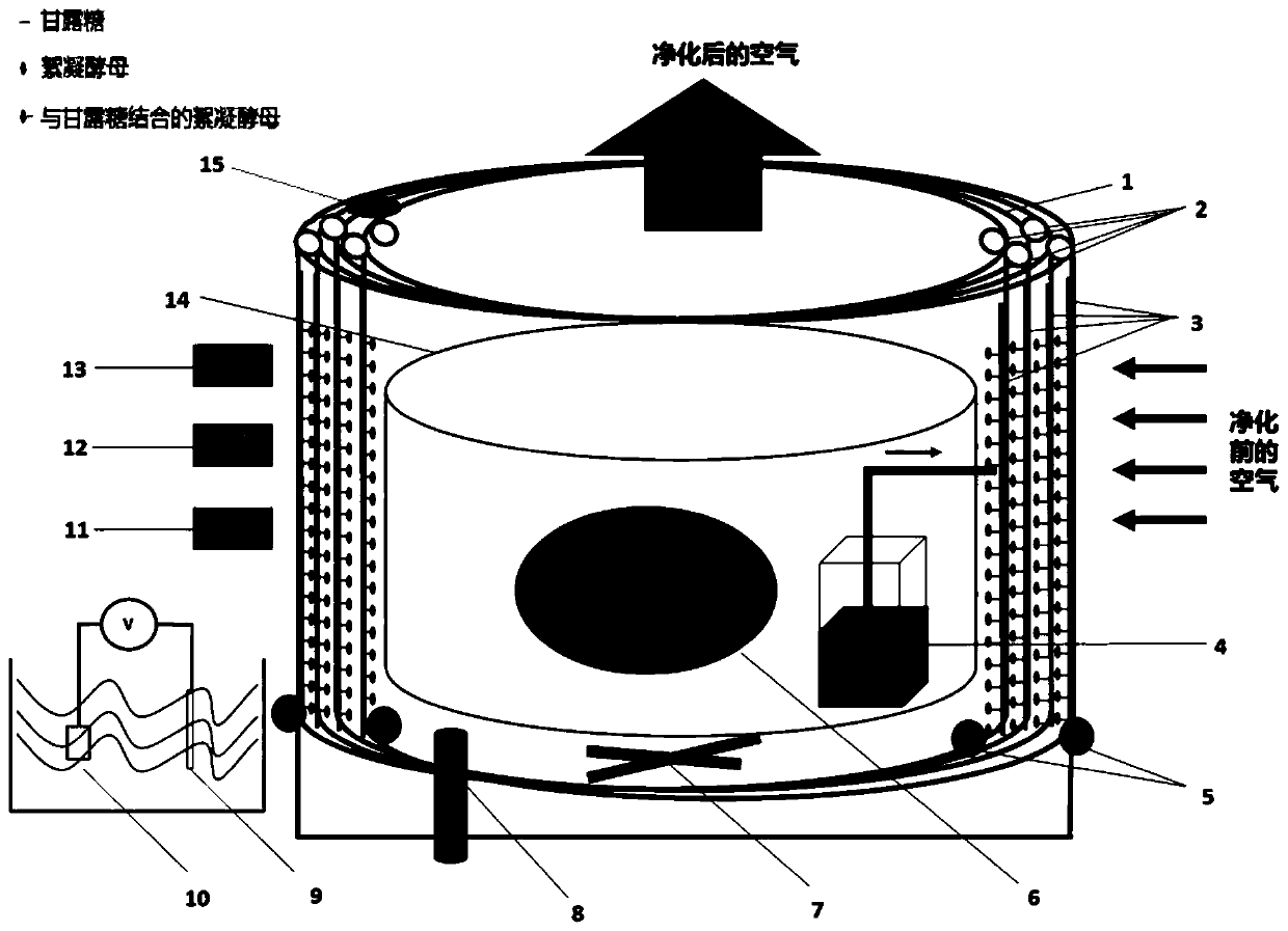 A formaldehyde purification device that uses flocculation yeast to absorb and degrade formaldehyde