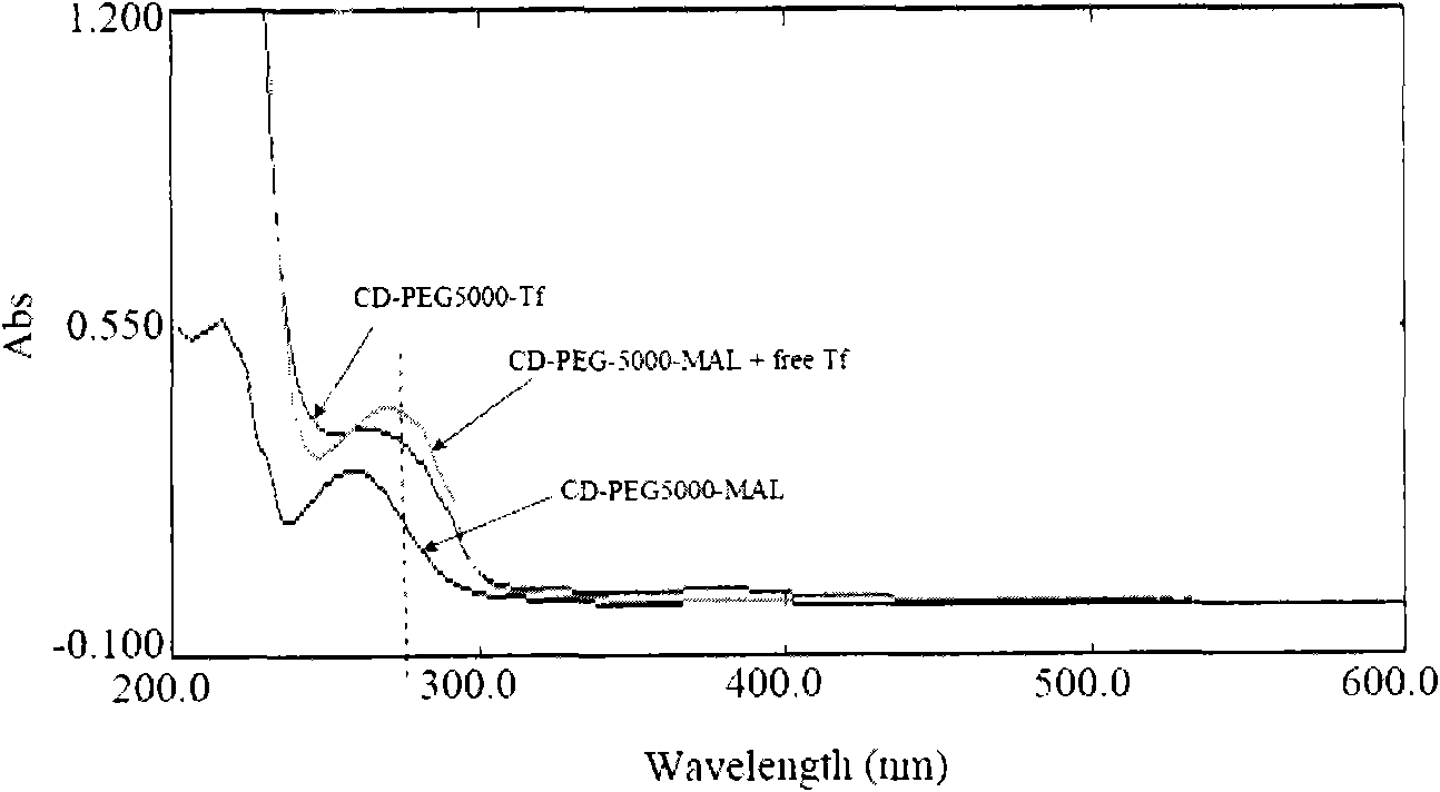 Method for synthesizing brain targeting head modification cyclodextrin (CD) derivative