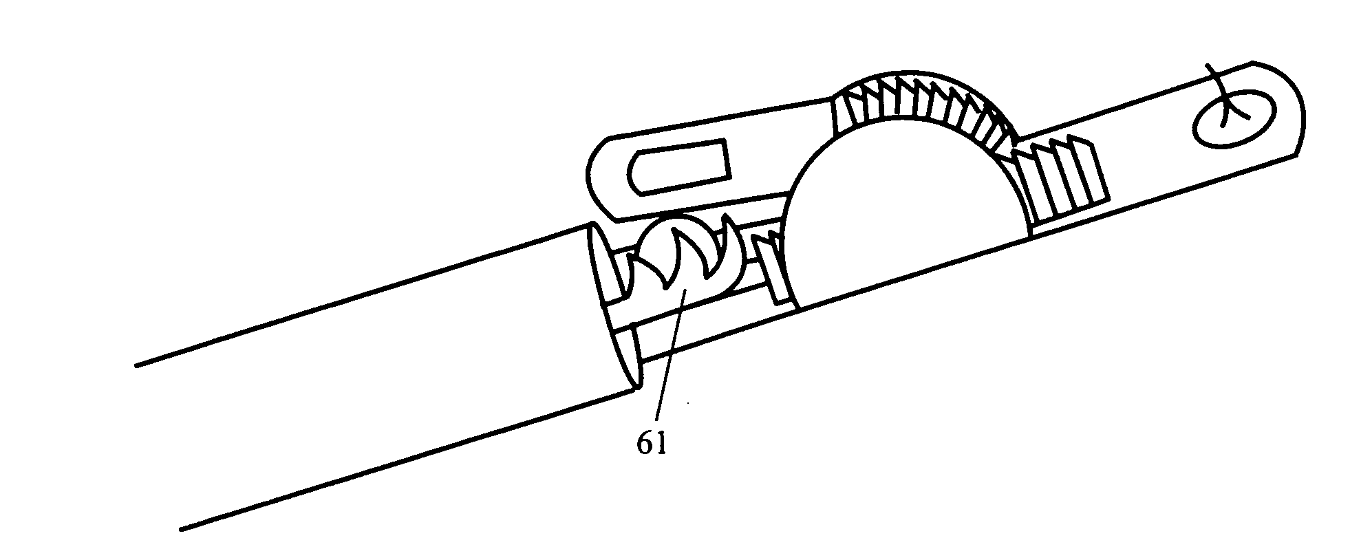 Endoscopic multiple biopsy forceps with swing member