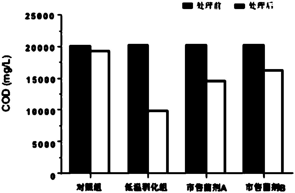 Method for preparing low temperature-resistant garbage treatment composite microbial agent