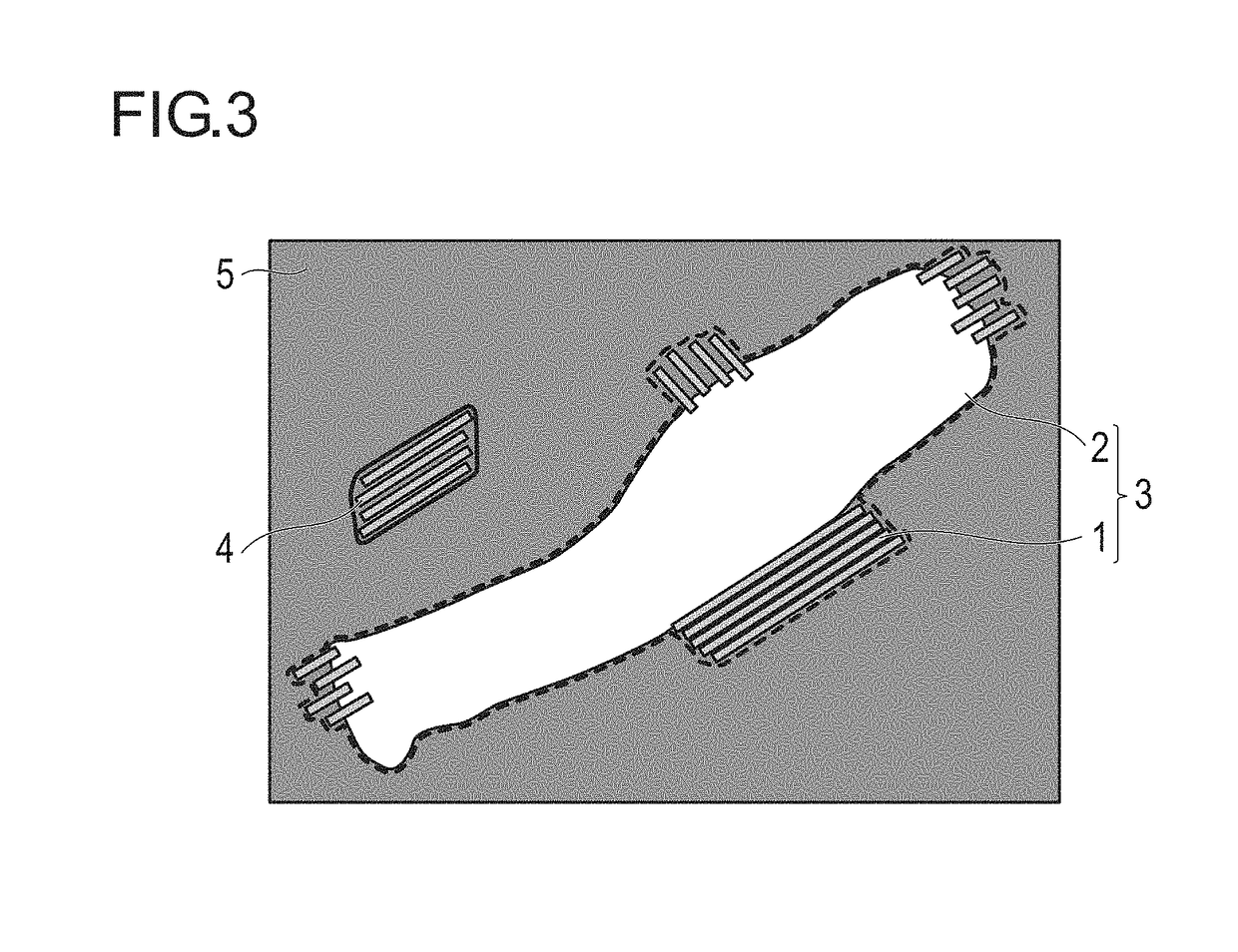 Toner for electrostatic charge image development