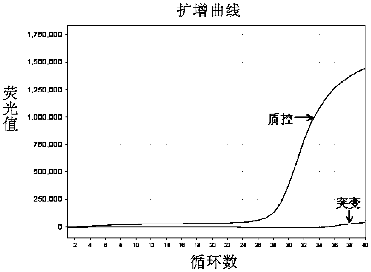 Detection kit and detection method for 19 deletion mutations of EGFR gene exon 19