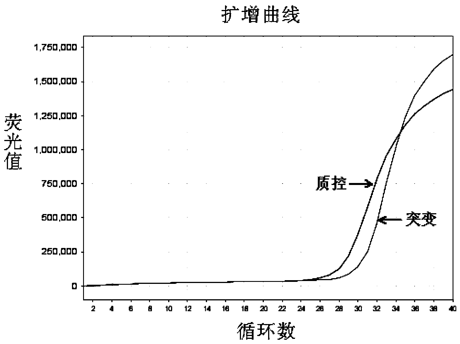 Detection kit and detection method for 19 deletion mutations of EGFR gene exon 19