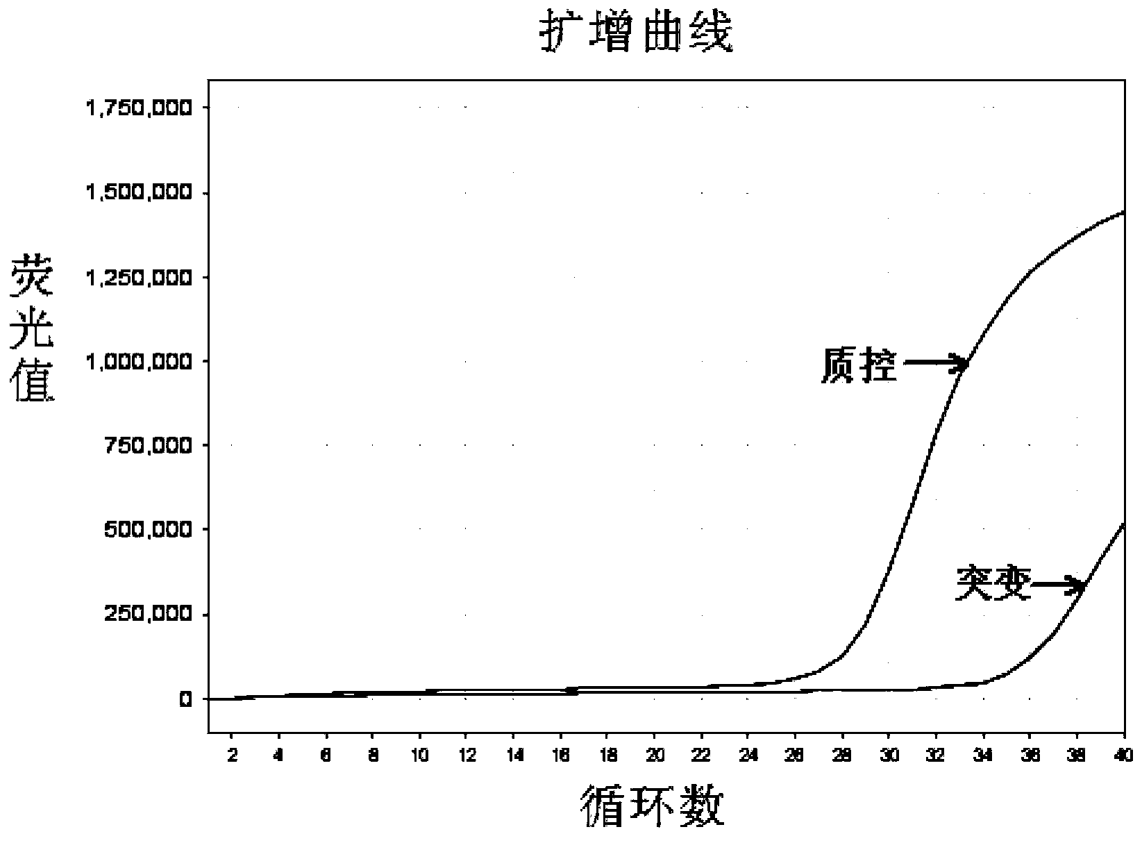 Detection kit and detection method for 19 deletion mutations of EGFR gene exon 19