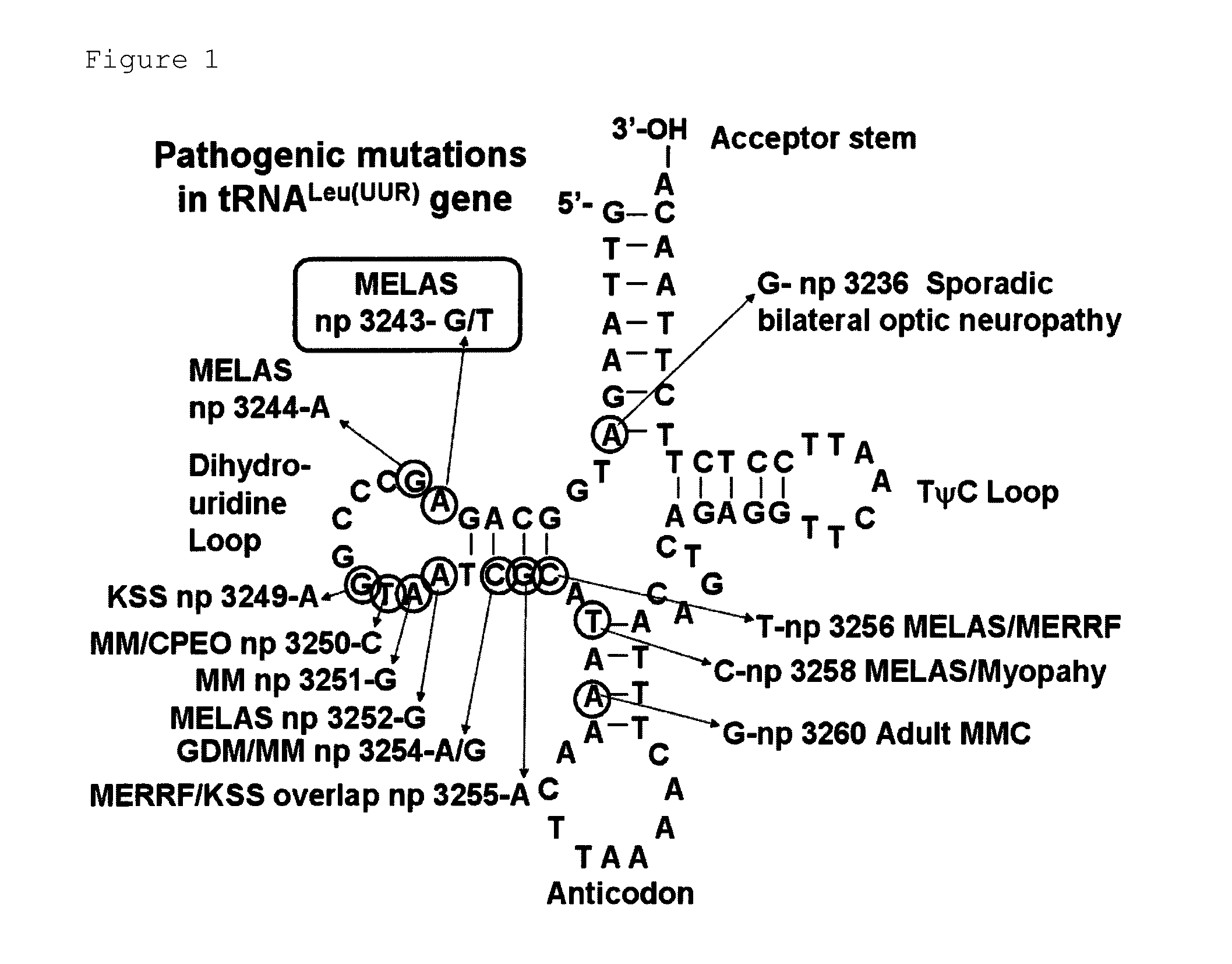 Polyamide compound and pharmaceutical composition for treating mitochondrial genetic disease