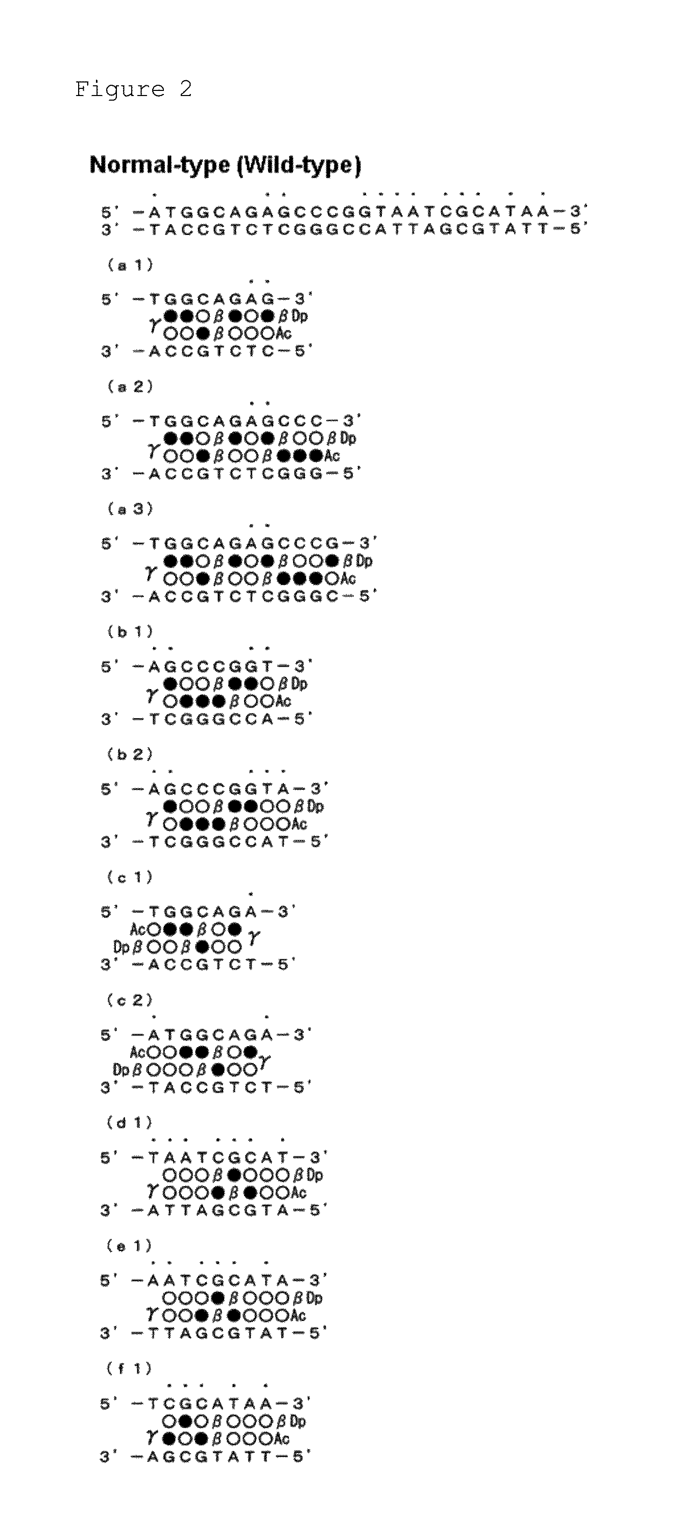 Polyamide compound and pharmaceutical composition for treating mitochondrial genetic disease