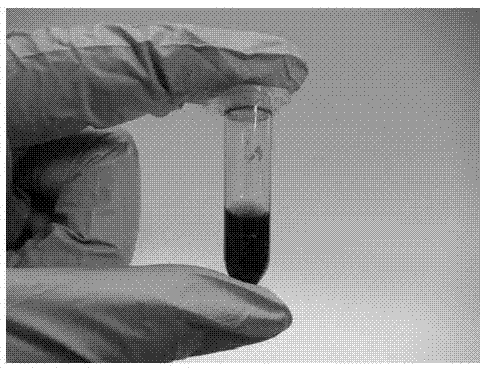 D10 transition metal acetylide two-dimensional nanosheet and preparation method thereof