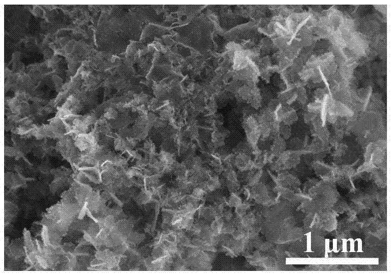 D10 transition metal acetylide two-dimensional nanosheet and preparation method thereof