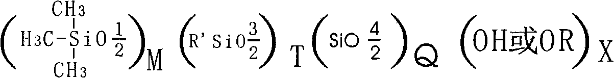 Silicone-type coatings and preparation method thereof