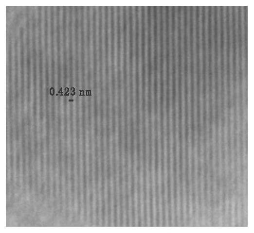 Method for preparing sodium electrode based on sodium salt boiling method