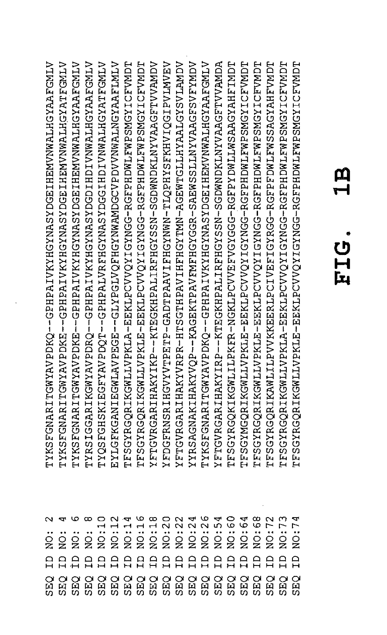 Enzymatic peracid production using a cosolvent