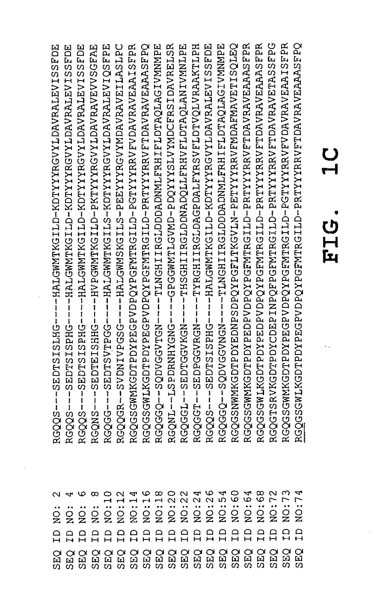 Enzymatic peracid production using a cosolvent