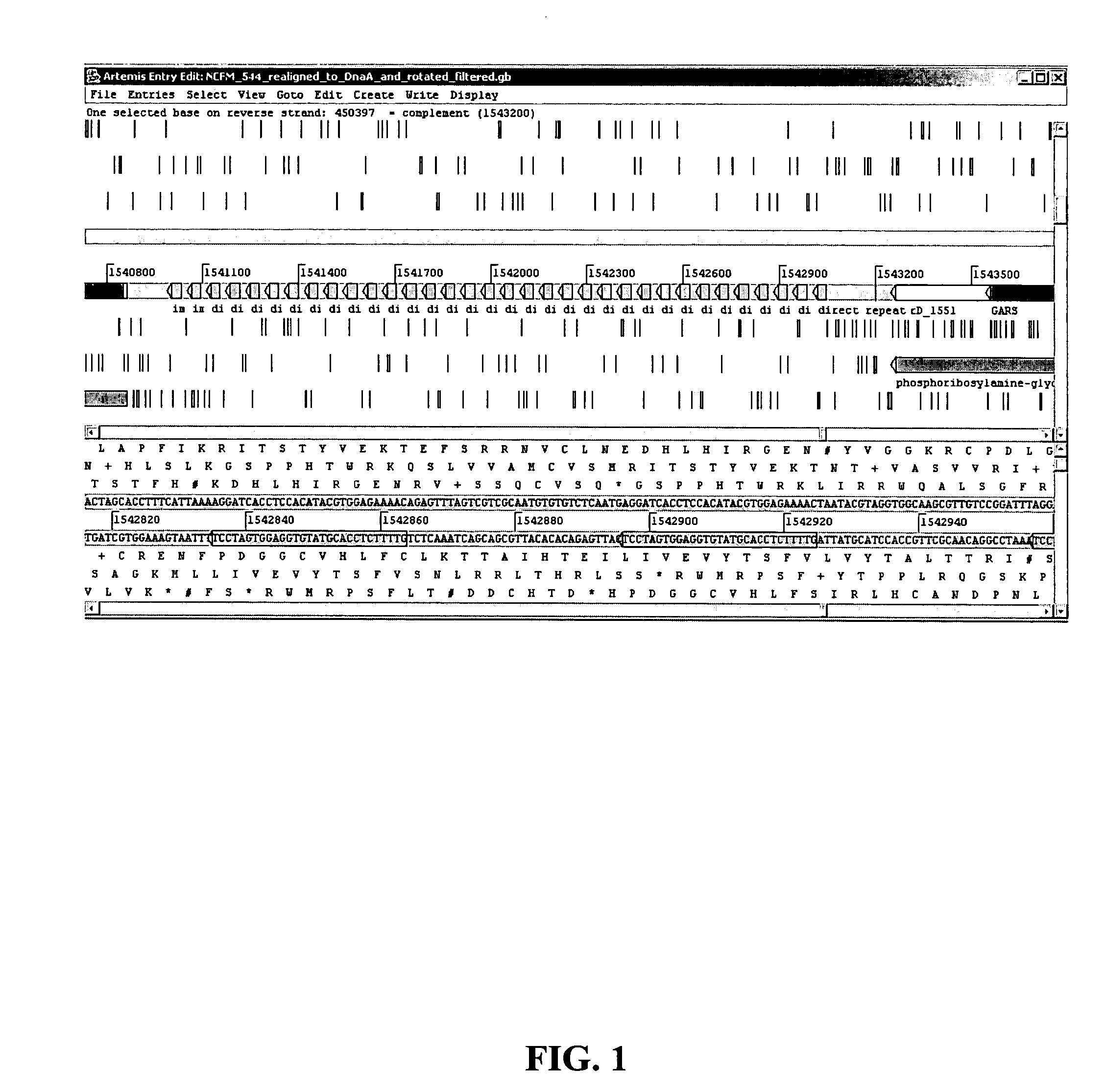 Detection and typing of bacterial strains