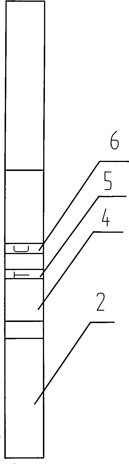 Test paper strip for testing bovine leukemia antibody with colloidal gold immune chromatography and preparation method thereof