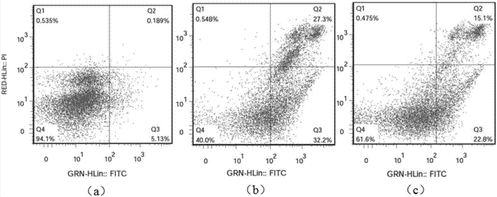 Application of MT (Metallothionein) gene serving as target gene for preventing and treating AFB1 (Aflatoxin B1) caused hepatic injury of duck