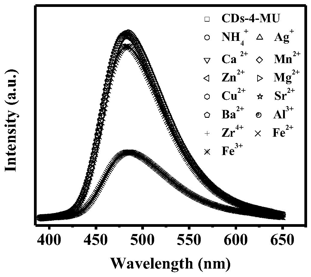 Carbon dot fluorescent probe, and preparation method and application thereof