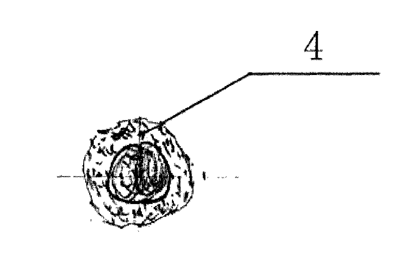 Novel parallel composite yarns