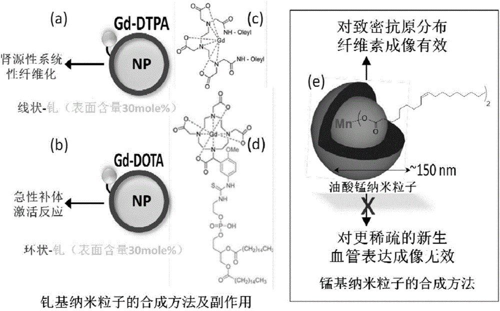 Manganese gadolinium heterozygous bimetallic paramagnetic nanocolloid and application in preparation of magnetic resonance imaging contrast material thereof