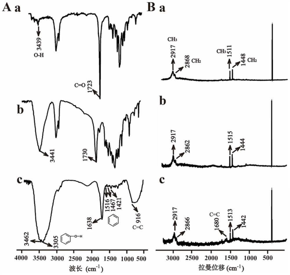 A kind of support material and its application with the effect of delaying cell aging