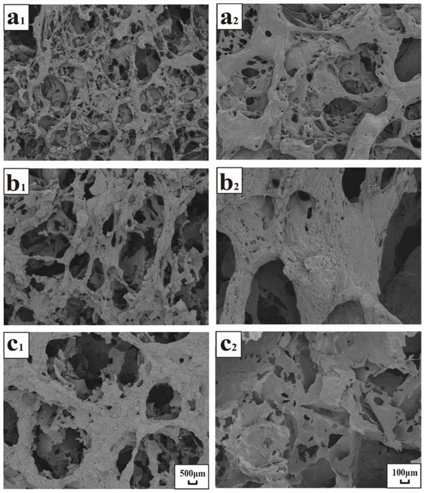 A kind of support material and its application with the effect of delaying cell aging